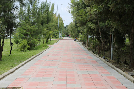 Image 6