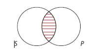 Venn Diagram for E Proposition (No S are P)