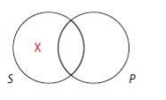 Venn Diagram for O Proposition (Some S are not P)